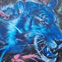 Apogé (Olivier Robillard)