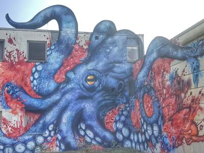 Octopuss