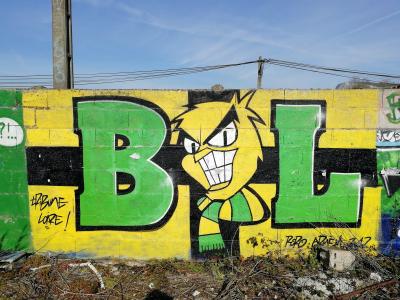 Brigade Loire FC Nantes