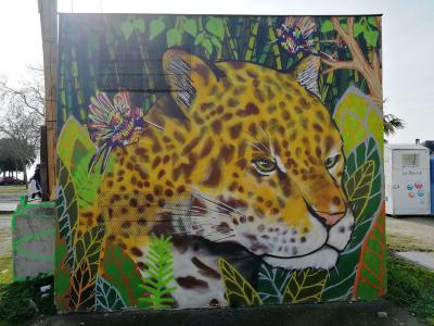 Jungle Toucan Jaguar Portraits Muraux