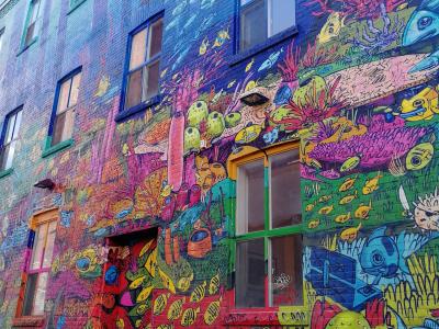 Dynamic Color Layers