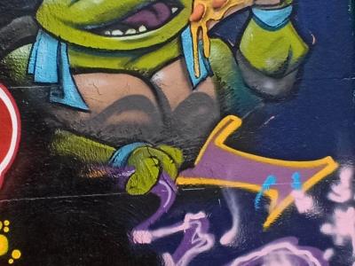 Tortues Ninja, Teenage Mutant Ninja Turtles : Leonardo