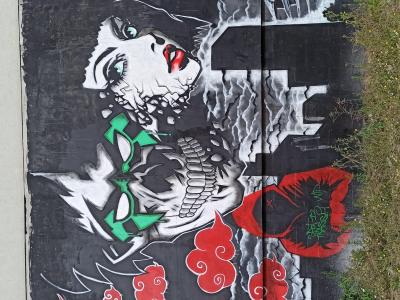 Crânes et roses, dualité urbaine