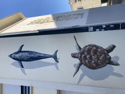 Appel pour la préservation marine