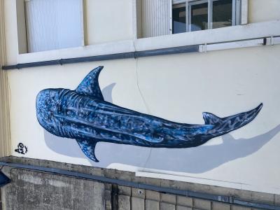 Appel pour la préservation marine