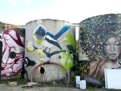 Femme aux cheveux de nature