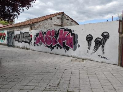 Trio de méduses en noir et blanc
