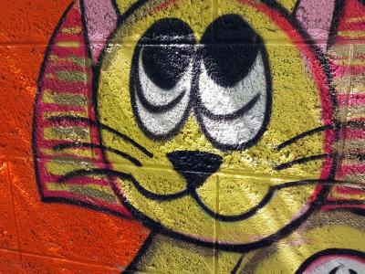 La rencontre de deux chats colorés