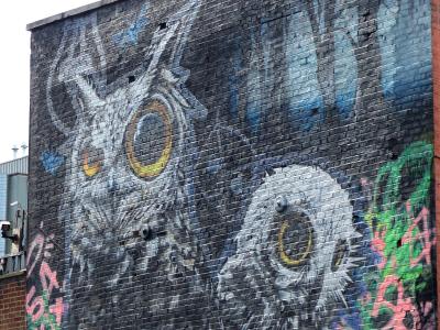 Camden owls