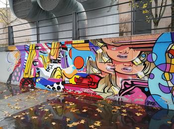  france-strasbourg-graffiti