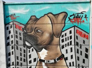 Dog france-saint-nazaire-graffiti