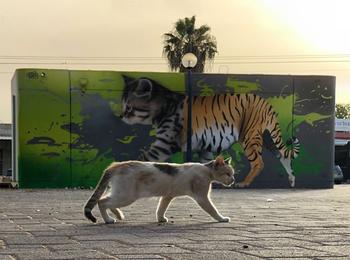  israel-sderot-graffiti