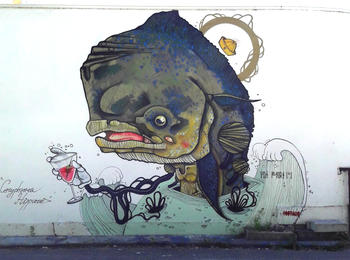  france-toulouse-graffiti