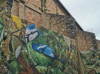  france-perigueux-graffiti