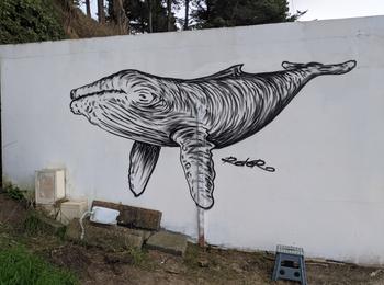 Baleine france-plestin-les-greves-graffiti