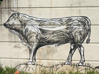 Aubrac france-bessuejouls-graffiti