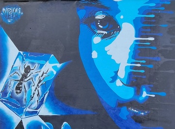 Newi (Julien Berland)